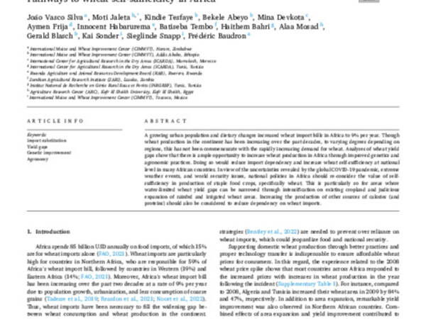Pathways to wheat self-sufficiency in Africa 