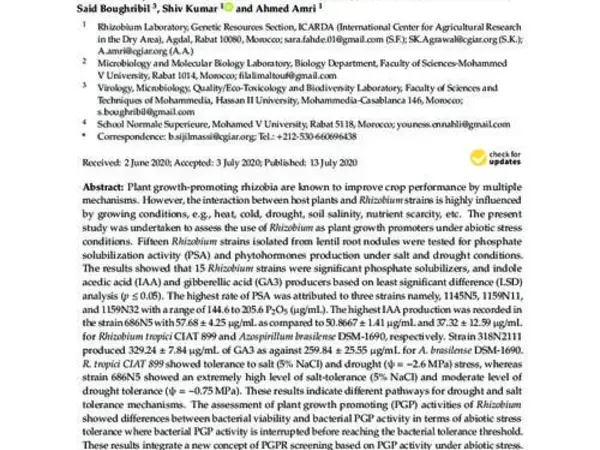 In-Vitro Plant Growth Promotion of Rhizobium Strains Isolated from Lentil Root Nodules under Abiotic Stresses