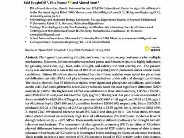 In-Vitro Plant Growth Promotion of Rhizobium Strains Isolated from Lentil Root Nodules under Abiotic Stresses