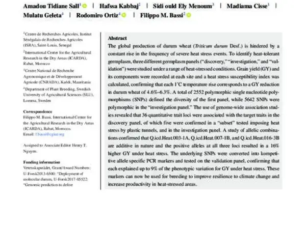 Durum wheat heat tolerance loci defined via a north–south gradient