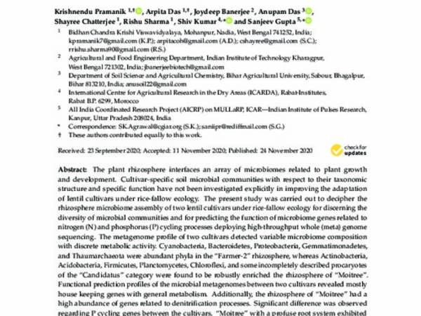 Metagenomic Insights into Rhizospheric Microbiome Profiling in Lentil Cultivars Unveils Differential Microbial Nitrogen and Phosphorus Metabolism under Rice-Fallow Ecology