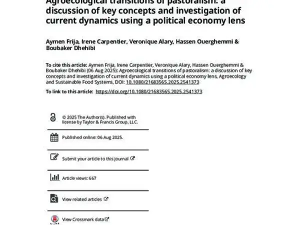 Agroecological transitions of pastoralism: a discussion of key concepts and investigation of current dynamics using a political economy lens