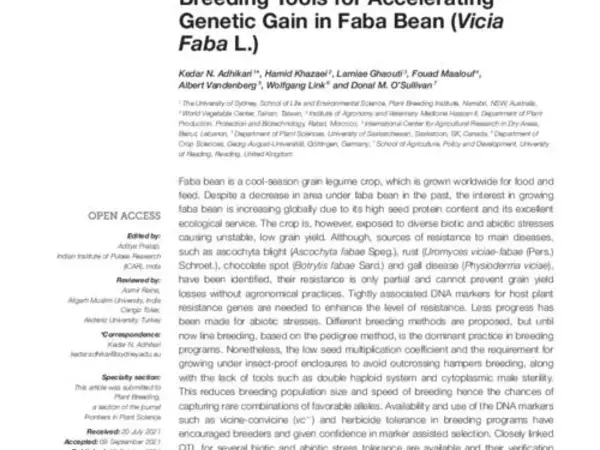 Conventional and Molecular Breeding Tools for Accelerating Genetic Gain in Faba Bean (Vicia Faba L.)