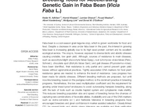 Conventional and Molecular Breeding Tools for Accelerating Genetic Gain in Faba Bean (Vicia Faba L.)