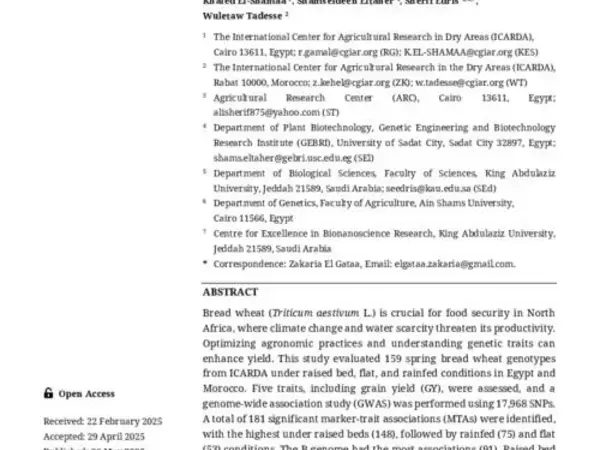 Genetic Variation and Association Mapping Studies in Elite Spring Bread Wheat Genotypes for Yield and Other Agronomic Traits under Irrigated and Rainfed Environments
