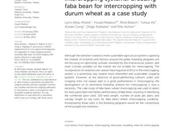 Improvement of cool-season food legumes for adaptation to intercropping systems: breeding faba bean for intercropping with durum wheat as a case study