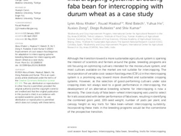 Improvement of cool-season food legumes for adaptation to intercropping systems: breeding faba bean for intercropping with durum wheat as a case study