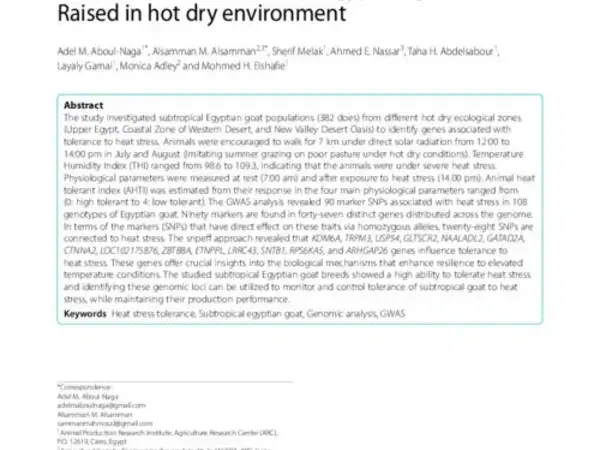 Genome-wide identification, characterization, and expression analysis of the MADS-box gene family in grass pea (Lathyrus sativus) under salt stress conditions