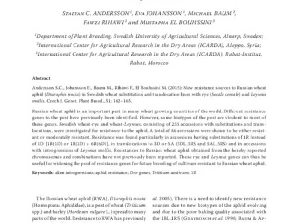 New resistance sources to Russian wheat aphid (Diuraphis noxia) in Swedish wheat substitution and translocation lines with rye (Secale cereale) and Leymus mollis