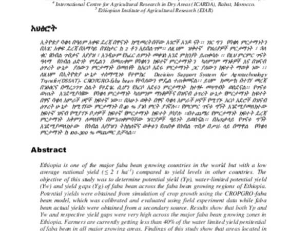 Quantifying Yield Potential and Yield Gaps  of Faba Bean in Ethiopia 