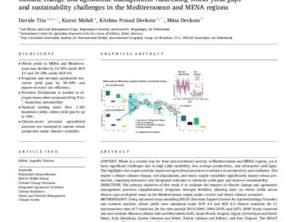 Climate change and agronomic management: Addressing wheat yield gaps and sustainability challenges in the Mediterranean and MENA regions