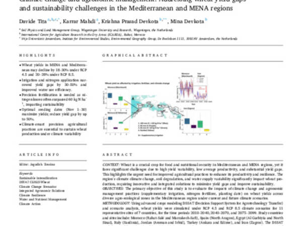 Climate change and agronomic management: Addressing wheat yield gaps and sustainability challenges in the Mediterranean and MENA regions