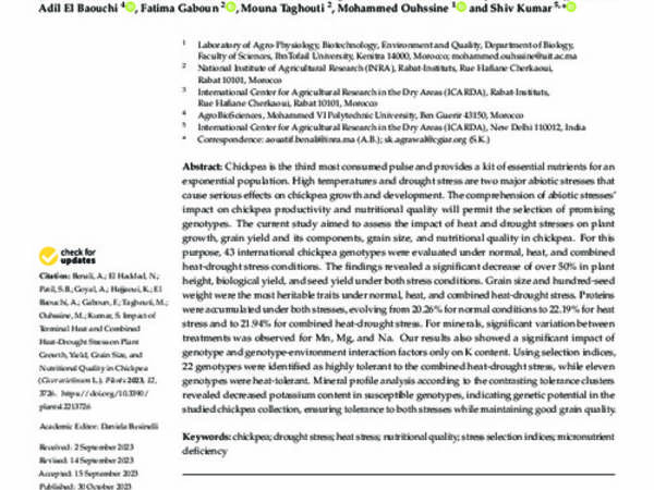 Impact of Terminal Heat and Combined Heat-Drought Stress on Plant Growth, Yield, Grain Size, and Nutritional Quality in Chickpea (Cicer arietinum L.)