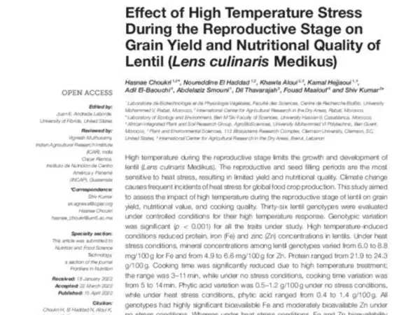 Effect of High Temperature Stress During the Reproductive Stage on Grain Yield and Nutritional Quality of Lentil (Lens culinaris Medikus)