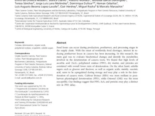 Toward better understanding of postharvest deterioration: biochemical changes in stored cassava (Manihot esculenta Crantz) roots