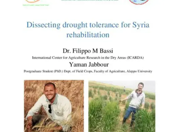 Dissecting drought tolerance for Syria rehabilitation