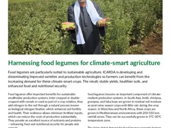 Harnessing food legumes for climate-smart agriculture 