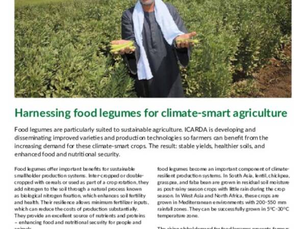 Harnessing food legumes for climate-smart agriculture 