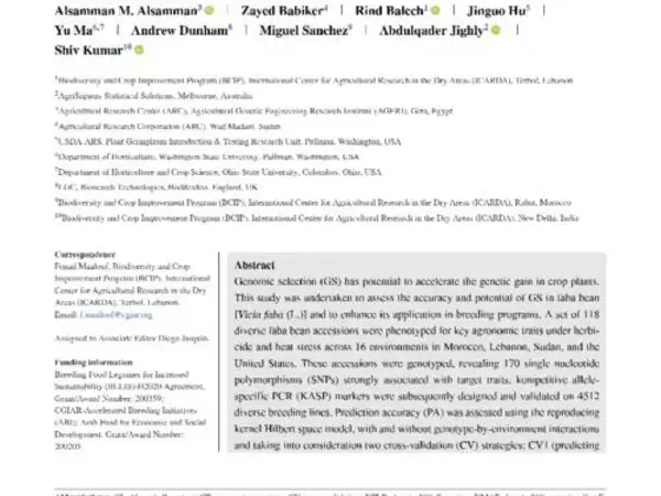 Genomic prediction for heat and herbicide tolerance in faba bean