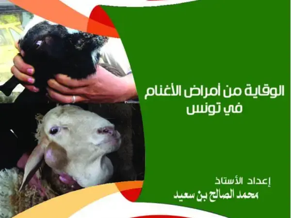 الوقاية من أمراض الأغنام في تونس