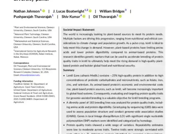 Targeted improvement of plant-based protein: Genome-wide association mapping of a lentil (Lens culinaris Medik.) diversity panel
