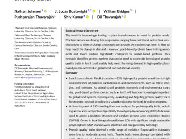 Targeted improvement of plant-based protein: Genome-wide association mapping of a lentil (Lens culinaris Medik.) diversity panel