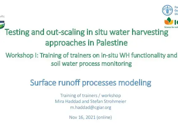 Surface runoff processes modeling 