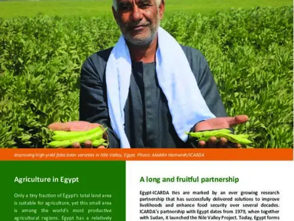 Egypt and ICARDA