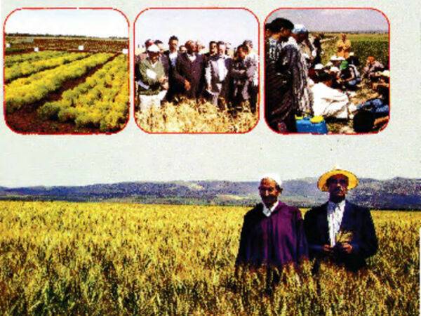 Ties that Bind: Morocco and ICARDA. Collaboration since 1977 (second, revised and updated version)