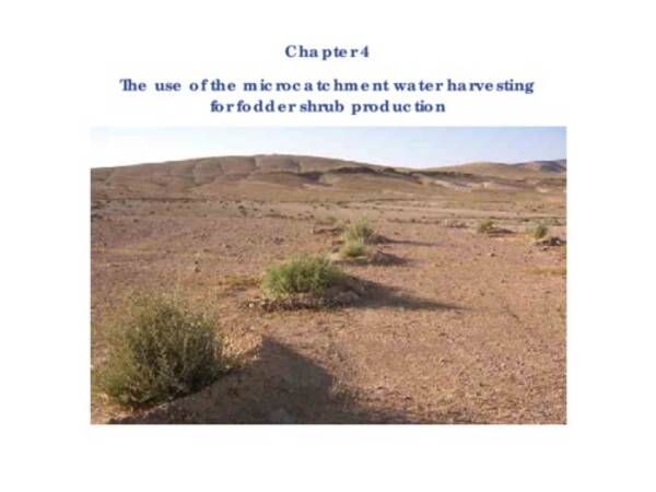 The use of the microcatchment water harvesting for fodder shrub production