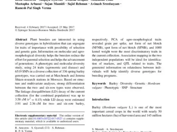 Molecular and phenotypic diversity of ICARDA spring barley (Hordeum vulgare L.) collection