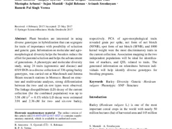 Molecular and phenotypic diversity of ICARDA spring barley (Hordeum vulgare L.) collection