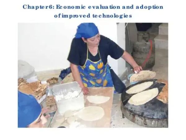 Economic evaluation and adoption of improved technologies