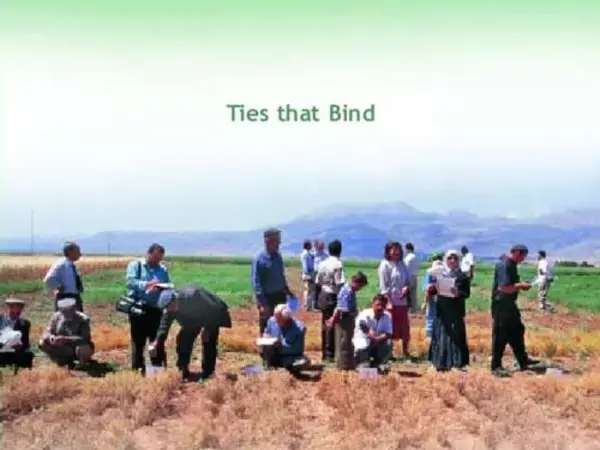 Ties that Bind: Turkey and ICARDA. Collaboration in Agricultural Research since 1977