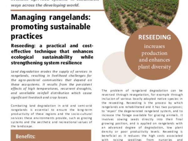 Managing rangelands: promoting sustainable practices: Reseeding: a practical and costeffective technique that enhances ecological sustainability while strengthening system resilience