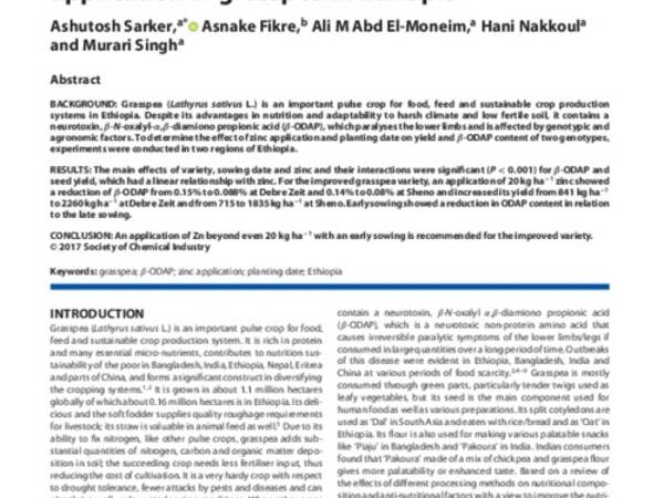 Reducing anti-nutritional factor and enhancing yield with advancing time of  planting and zinc application in grasspea in Ethiopia 