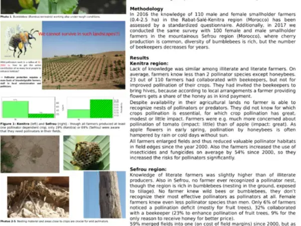 Farmers Have Too Low Knowledge to Protect and Benefit from Native Pollinators – Insight from Morocco 