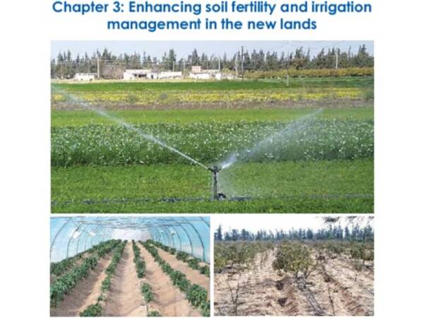 Enhancing soil fertility and irrigation management in the new lands