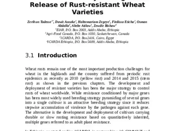 Fast-track Variety Testing and Release of Rust-resistant Wheat Varieties