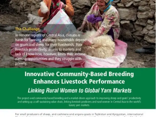 Linking Livestock Producers and Rural Women to Global Yarn Markets