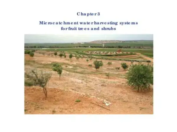 Microcatchment water harvesting systems for fruit trees and shrubs