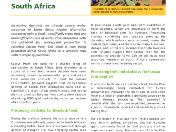 Cactusnet: Promoting the social and ecological benefits of cactus production: Encouraging Cactus Pear production in South Africa
