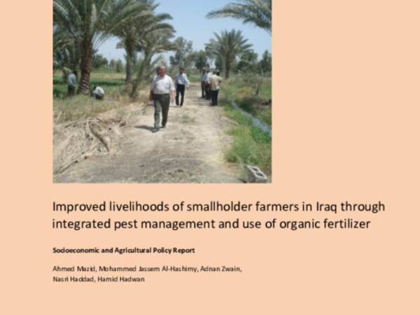 Improved livelihoods of smallholder farmers in Iraq through integrated pest management and use of organic fertilizer