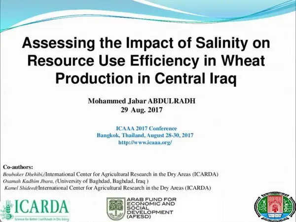 Assessing the Impact of Salinity on Resource Use Efficiency in Wheat Production in Central Iraq