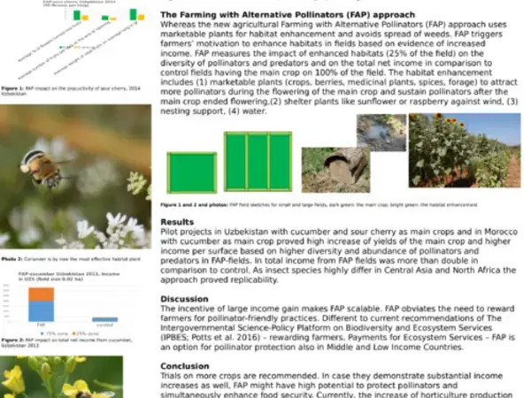 Farming with Alternative Pollinators (FAP) Creates High Incentives for Farmers for Pollinator Friendly Agriculture 