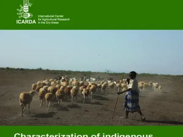 Characterization of indigenous breeding strategies of the sheep farming communities of Ethiopia