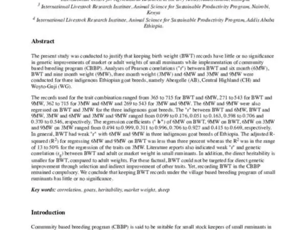 Recording birth weight has no significance in village based genetic improvement programs of small ruminants