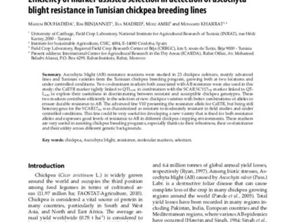 Efficiency of marker-assisted selection in detection of ascochyta blight resistance in Tunisian chickpea breeding lines