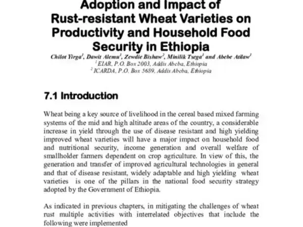 Adoption and Impact of Rust-resistant Wheat Varieties on Productivity and Household Food Security in Ethiopia