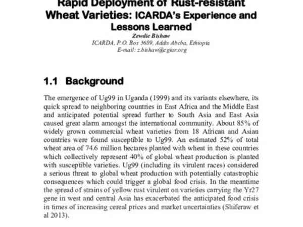 Rapid Deployment of Rust-resistant Wheat Varieties: ICARDA’s Experience and Lessons Learned